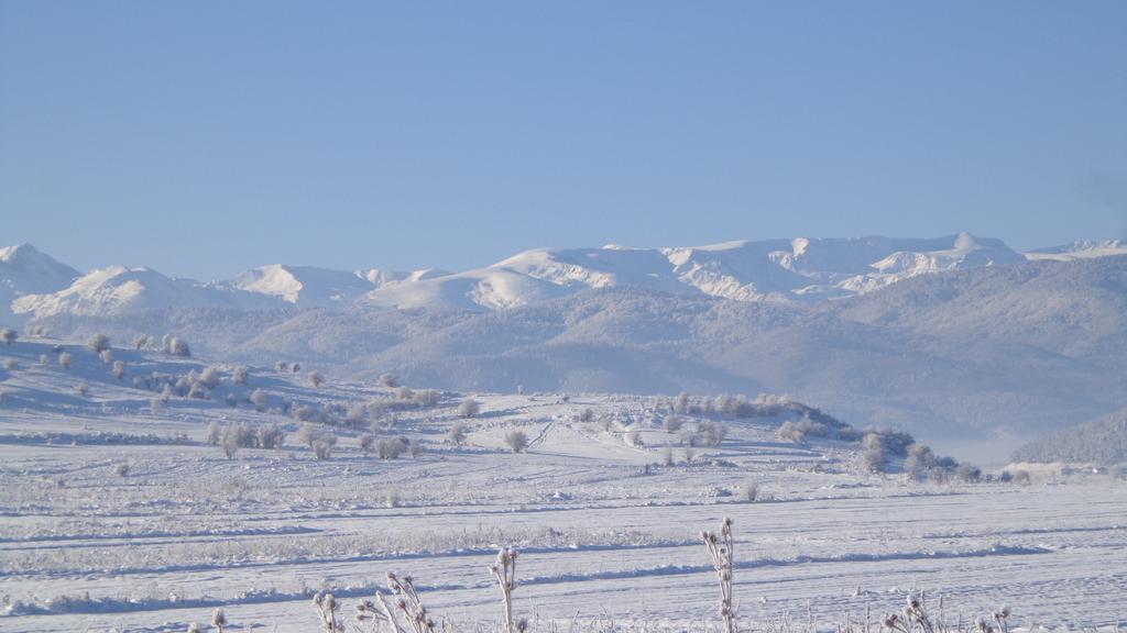 Sveti Nikola Villas near Borovets Shiroki Dol Rum bild